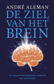 De ziel van het brein - Andre Aleman - ebook
