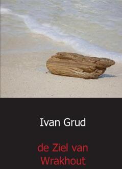 De ziel van wrakhout - Boek Ivan Grud (9461938128)
