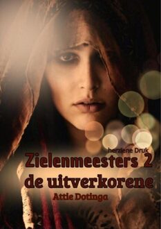 De zielenmeester - 2 De Uitverkorene - Attie Dotinga - ebook