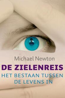 De zielenreis - Boek Michael Newton (9069639130)