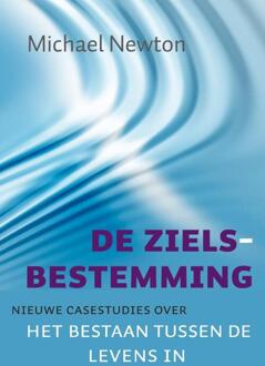 De zielsbestemming - Boek Michael Newton (9069639661)