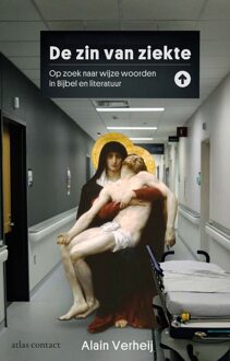 De zin van ziekte -  Alain Verheij (ISBN: 9789045050324)