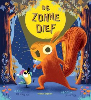 De zonnedief -  Alice Hemming (ISBN: 9789048322558)