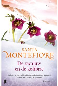 De zwaluw en de kolibrie - Boek Santa Montefiore (9022562735)