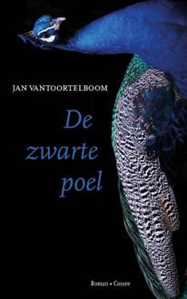 De zwarte poel -  Jan Vantoortelboom (ISBN: 9789464522082)