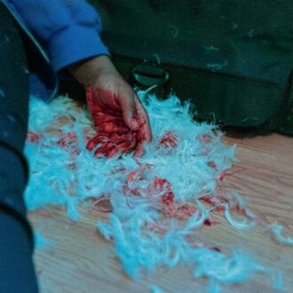 Dear Lemon House, You Ruined Me: Senior Year - Kaonashi