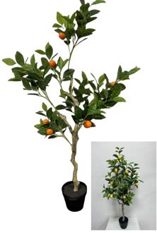 Deco Citroen-/sinaasappelboom H120cm verschillende
