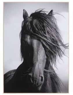 Decopaneel Paard - zwart/wit - 70X50 cm - Leen Bakker - 2 x 50 x 70