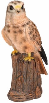 Decoratie beeldjes - torenvalk - roofvogel - 22 cm - Dieren - Beeldjes Multikleur