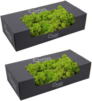 Decoratie/hobby mos - 2x pakjes - lichtgroen - 500 gram