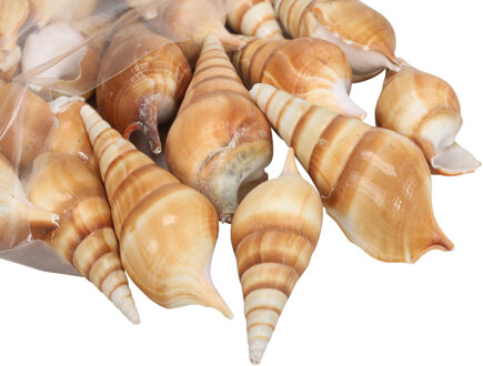 Decoratie/hobby zeeslak schelpen - 1 kg - bruintinten