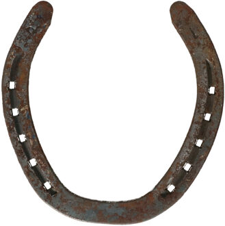 Decoratie hoefijzer metaal 13 cm - paarden of western thema artikelen