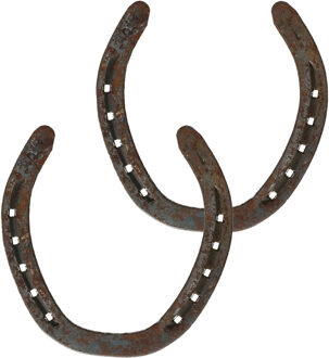 Decoratie hoefijzer van metaal - Set van 2x stuks - 13 cm - paarden of western thema artikelen