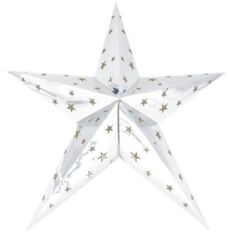 Decoratie kerstster - lampion - zilver - 60 cm - vouwbare ster - kerstversiering