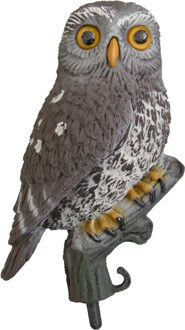 Decoratie Kleine uil