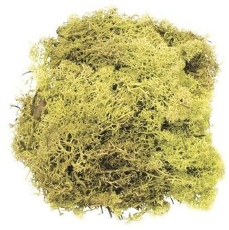 Decoratie mos lichtgroen 50 gram