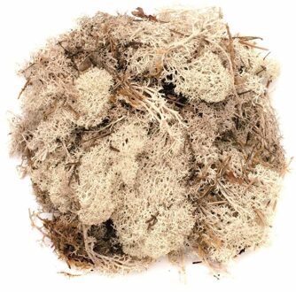 Decoratie mos naturel 150 gram - Hobby en knutselen decoratie artikelen