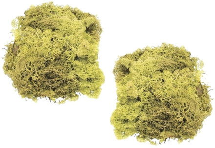 Decoratie nep mos - 2x - lichtgroen - 50 gram - Hobby/knutselen - herfst/kerst thema decoreren