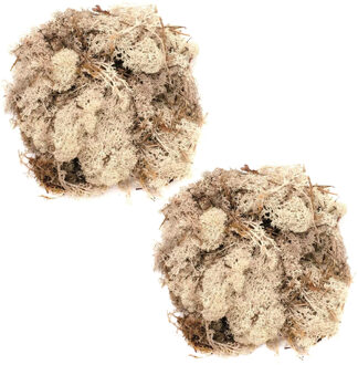 Decoratie nep mos - 2x - naturel - 50 gram - Hobby/knutselen - herfst/kerst thema decoreren