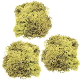 Decoratie nep mos - 3x - lichtgroen - 50 gram - Hobby/knutselen - herfst/kerst thema decoreren