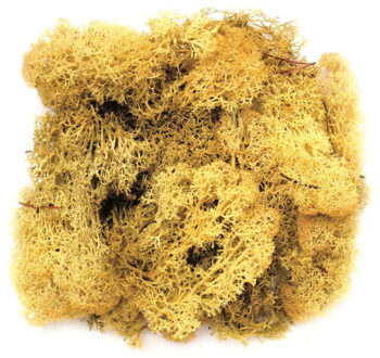 Decoratie nep mos 50 gram - 3x - geel - Hobby/knutselen - herfst/kerst thema - opvullen - decoreren