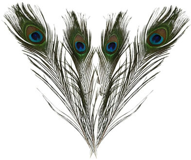 Decoratie pauwenveren - 20x - 25-30 cm - veren - hobby
