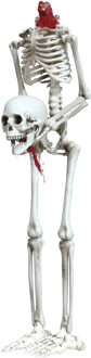 Decoratie skelet pop - afgehakt hoofd - 37 cm - hangend?- kunststof - Halloween/horror versiering