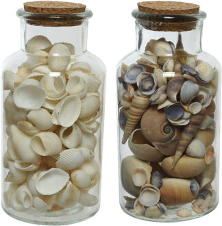 Decoris 2x stuks deco schelpen in glazen pot - D8 x H16 cm - bruin/wit
