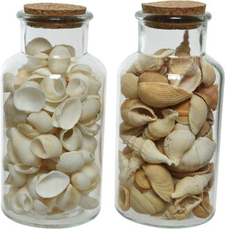 Decoris 2x stuks deco schelpen in glazen pot - D8 x H16 cm - bruin/wit
