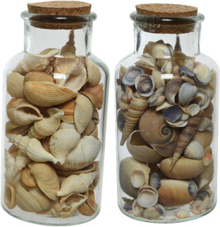 Decoris 2x stuks deco schelpen in glazen pot - D8 x H16 cm - bruin