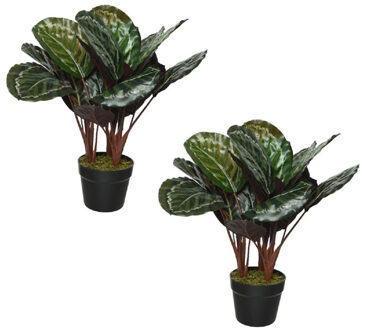 Decoris 2x Stuks Kunst Calathea 47 Cm - Kunstplanten Groen