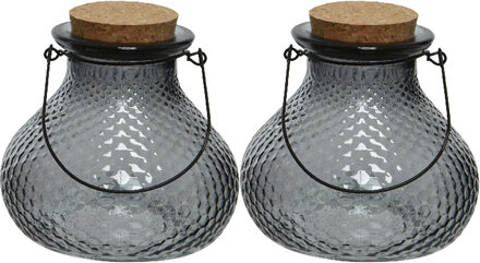 Decoris 2x wespenvanger/wespenval met hengsel - glas - grijs - D14 x H13 cm