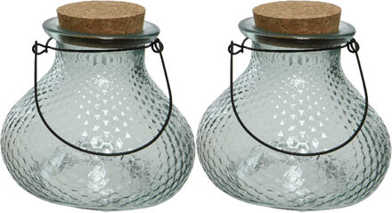 Decoris 2x wespenvanger/wespenval met hengsel - glas - ijsblauw - D14 x H13 cm