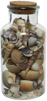 Decoris Deco schelpen in glazen pot - D8 x H16 cm - bruin tinten Multi