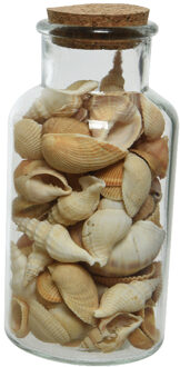 Decoris Deco schelpen in glazen pot - D8 x H16 cm - bruin