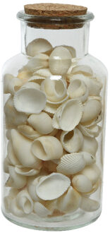 Decoris Deco schelpen in glazen pot - D8 x H16 cm - wit