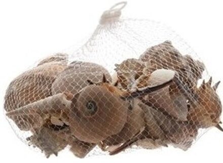 Decoris Decoratie/hobby bruine schelpen 350 gram