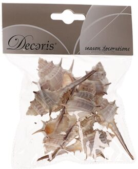 Decoris Decoratie schelpen Thorn - 6 cm - Natuurlijke schelpjes - Maritiem - strand thema