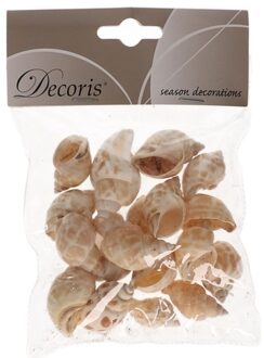 Decoris Decoratie schelpen zeeslak/strombus canarium 4 cm Creme