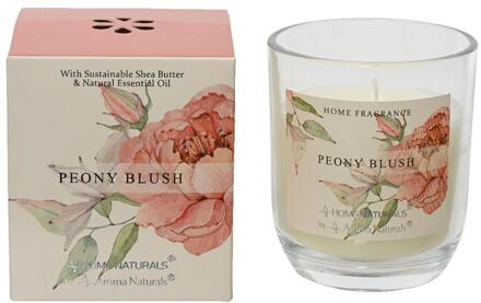 Decoris Geurkaars Peony Blush h9cm crème