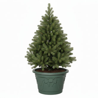 Decoris Kerstboom voet standaard - groen - kunststof - 42 x 25 cm - rond - voor echte bomen