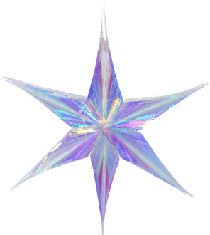 Decoris Kersthanger Ster iriserend 30cm multi