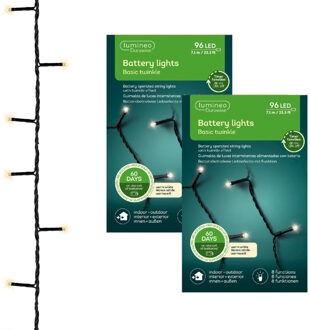 Decoris Kerstverlichting - 2x - twinkle - op batterij - warm wit - buiten - 96 lampjes - boomverlichting