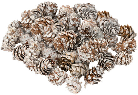 Decoris Kleine decoratie dennenappeltjes - 180 gram - bruin - 1,5-2 cm