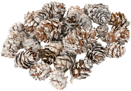 Decoris Kleine decoratie dennenappeltjes - 90 gram - bruin - 1,5-2 cm