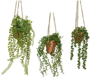 Decoris Kunst Hangplant in pot h40cm 3 assorti groen