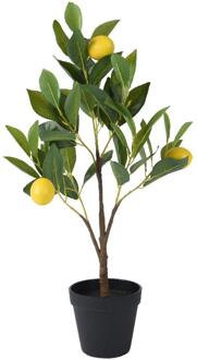 Decoris Kunstplant Citroen boom h60cm groen
