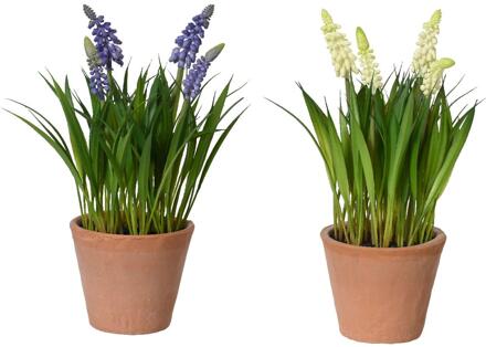 Decoris Kunstplant druifjes in pot Ø11xH26cm groen