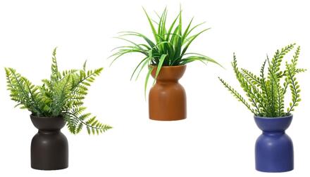 Decoris Kunstplant groen h23cm 3 assorti