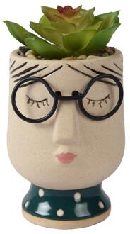Decoris Kunstplant in pot gezicht/bril h13,5cm groen